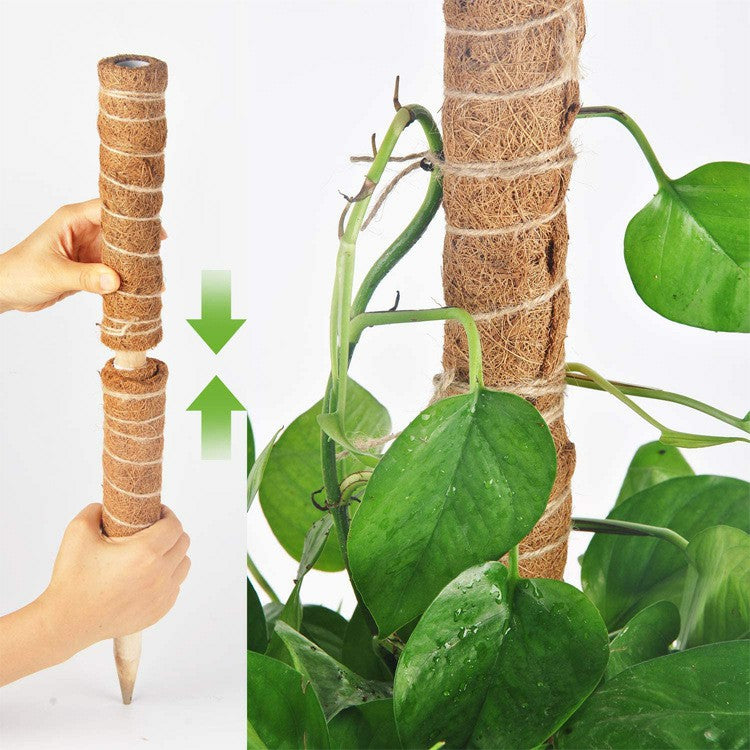 4Pcs 30cm Plant Climbing Rod Vine Climbing Coconut Palm Rod Plant Support Stick with Tools 4Pcs 30cm Plant Climbing Rod Vine Climbing Coconut Palm Rod Plant Support Stick with Tools